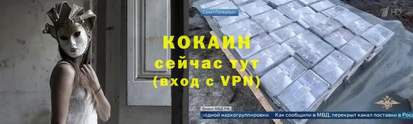 a pvp Бородино