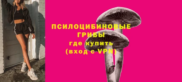 a pvp Бородино