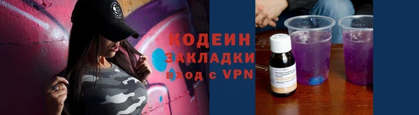 a pvp Бородино