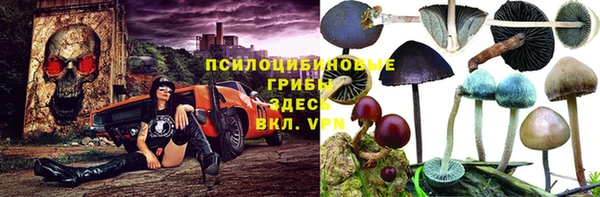 a pvp Бородино