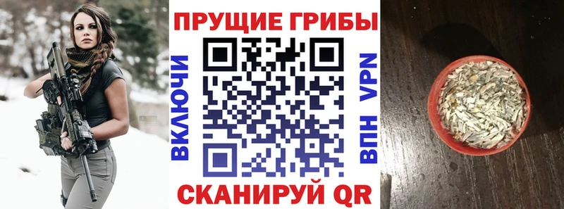 Галлюциногенные грибы Psilocybe  Купить  Печора 